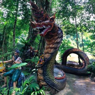 Wat Pa Kut Saming, the Naga forest, a spiritual tourist attraction in Sisaket