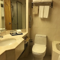 應有盡有 旺中帶靜 華麗古典香港富豪酒店