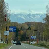 【北海道:美瑛】紅葉と青い池を愛でる