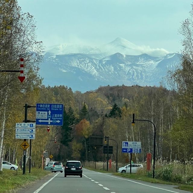 【北海道:美瑛】紅葉と青い池を愛でる