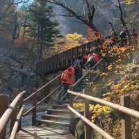 Autumn Season in Seoraksan 