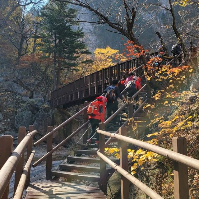 Autumn Season in Seoraksan 
