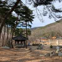 팔공산 말고 비슬산