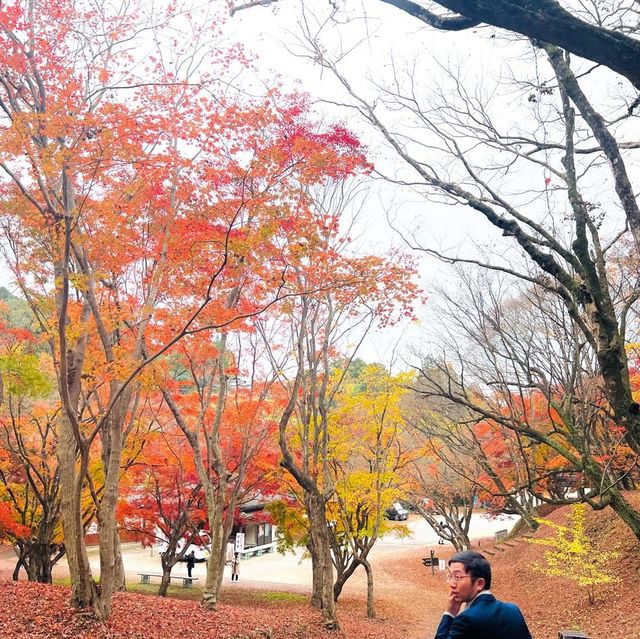 紅葉