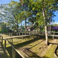 Stay near to forest, Eat near to River