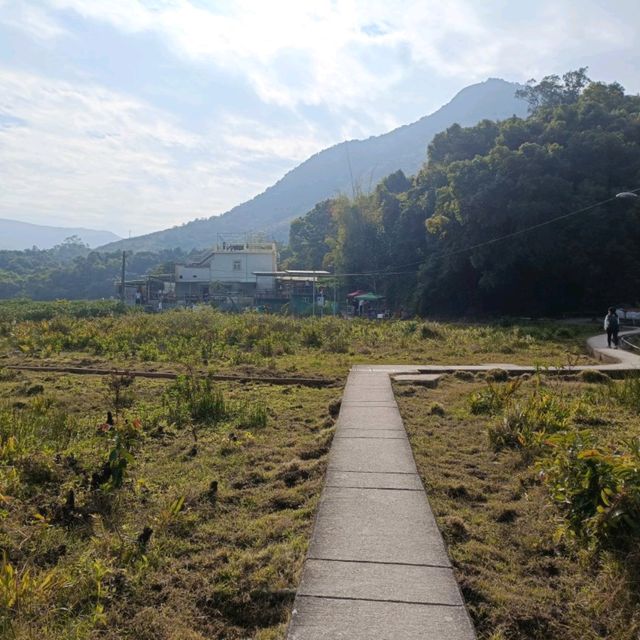 多平路合家歡之撰