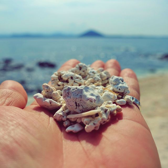 🏖 모래가 아닌 산호로 빛나는 해변, 우도 서빈백사해수욕장