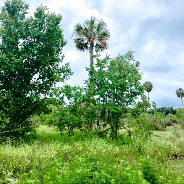  Central Florida’s Circle B Bar Reserve 