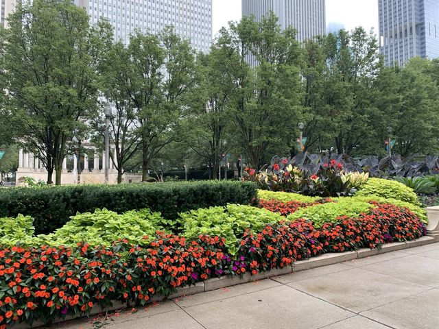 From the streets of Windy City - Chicago