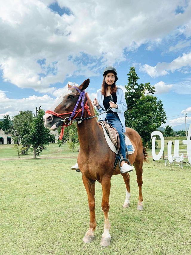 Dutch Farm เชียงใหม่