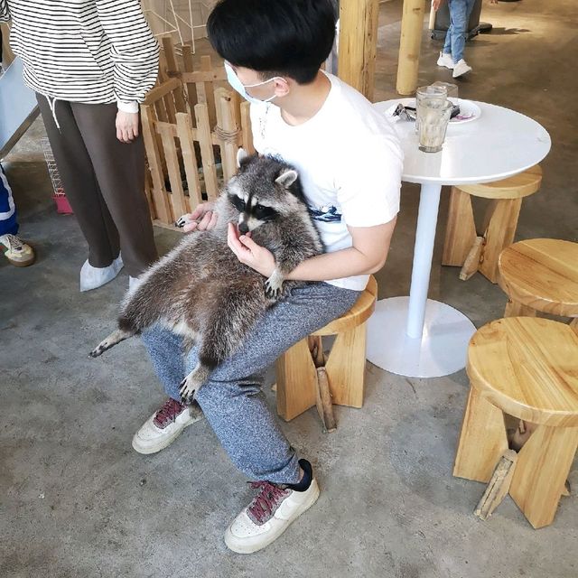 The Ultimate Animal Cafe