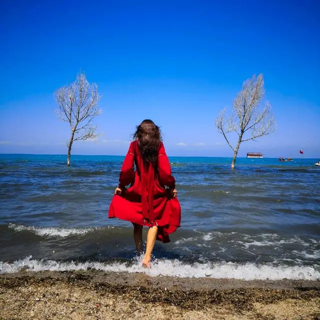 Qinghai lake - the biggest in China 