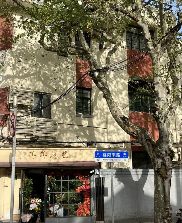 "Magic Citywalk" in Shanghai was spotted and the green house made me cry with beauty!