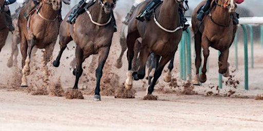 Seville Derby Day | 1591 Hwy 17