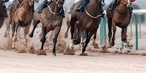 Seville Derby Day | 1591 Hwy 17