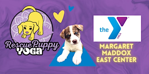 Rescue Puppy Yoga - Margaret Maddox family YMCA East center | Margaret Maddox Family YMCA
