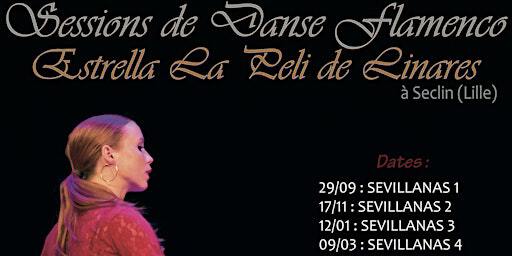 Stages de danse Flamenco Sevillanas Ibérica Seclin Hauts de France | Peña Sede Ibérica