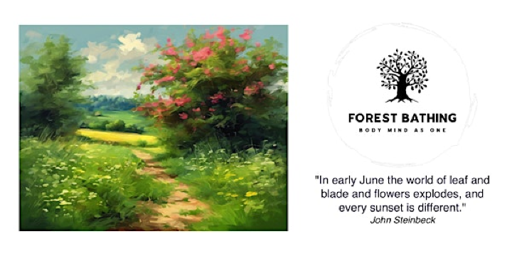 Summer Forest Bathing | Private Woodland