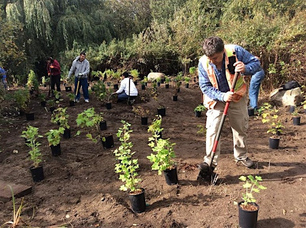 Jericho Beach Park Planting Event | Jericho Park