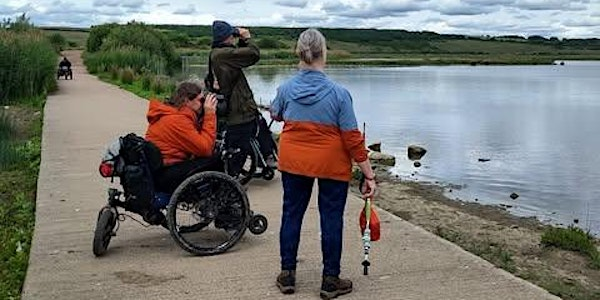 Experience Community Nature Day at RSPB Frampton Marsh | RSPB Frampton Marsh