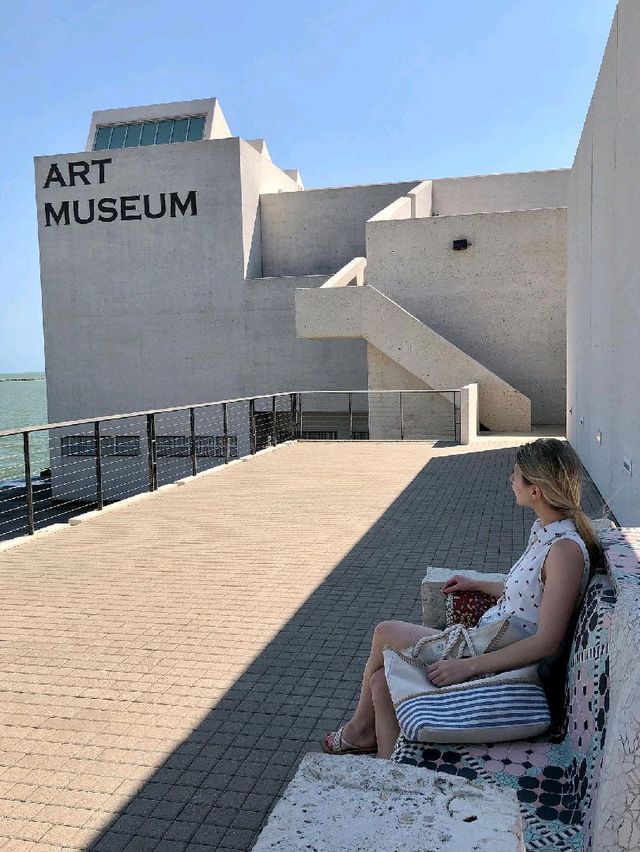 Art Museum of South Texas