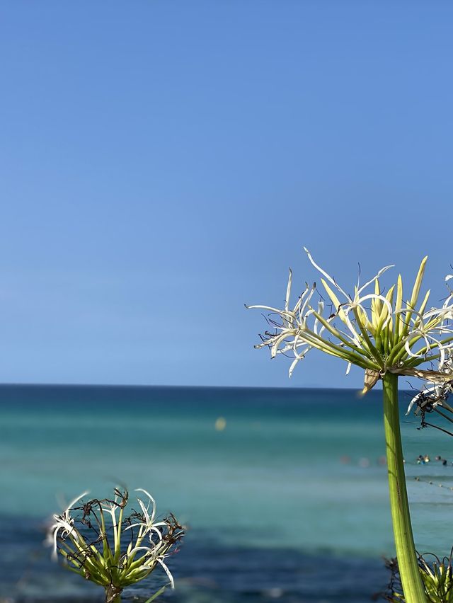 해변하면 함덕함덕🏖 아입니꺼~