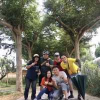 福祥仙人掌🌵多肉植物園-佔地超大、品種超多的多肉世界
