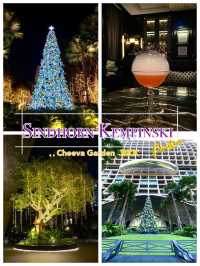 ตอนคริสต์มาสและงาน illumination ในสวนสวย กลางกรุง