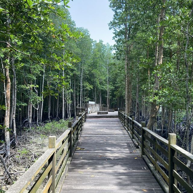 A Day in Kukup Island National Park