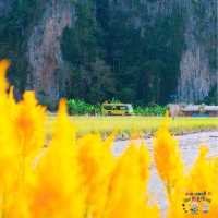 คาเฟ่ที่น่ามาที่สุดในเนินมะปราง