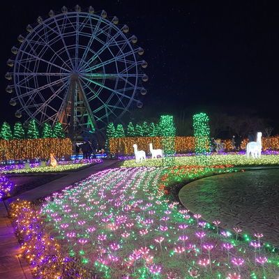 東武動物公園 イルミネーション Trip Com 東京の旅のブログ 東武動物公園 イルミネーション Trip Com 東京の旅のブログ