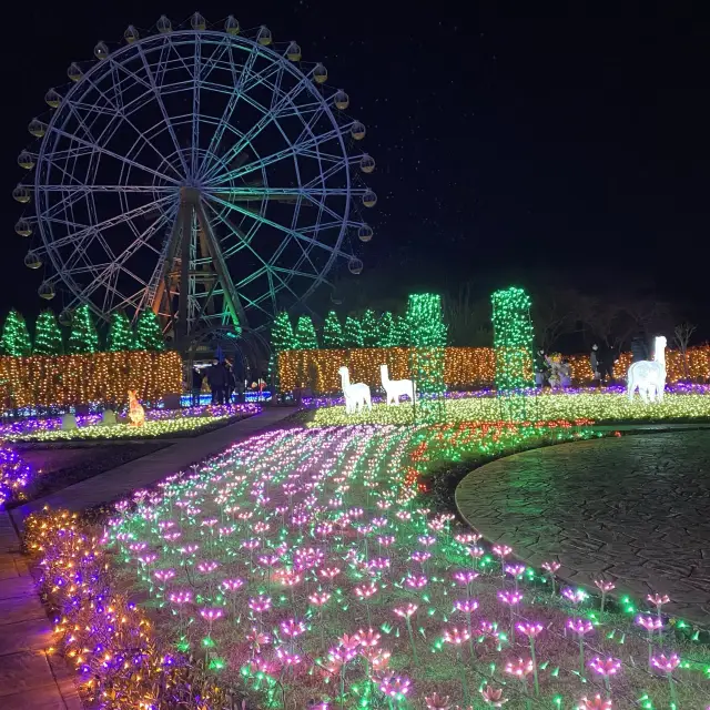 東武動物公園 イルミネーション