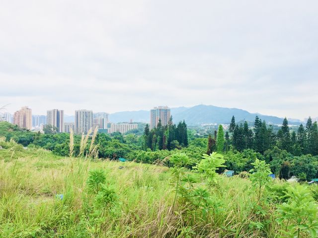 元朗髻山觀覽天水圍