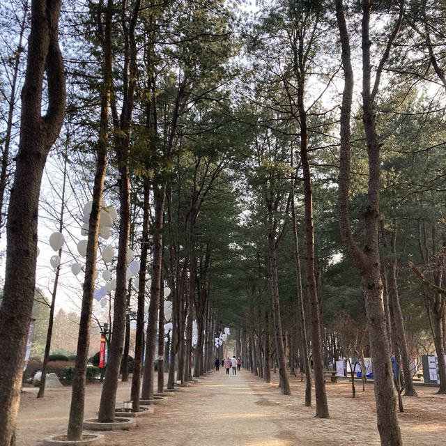 춘천 가볼만한 곳 [남이섬]
