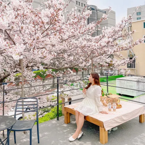 🌸지금 부산에서 젤 핫한 카페