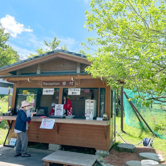 かざはやの里に行ってきました🚗 ³₃