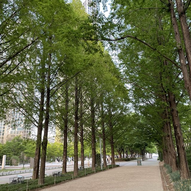봄엔 서울숲에서 피크닉이죠! 🌱🌸