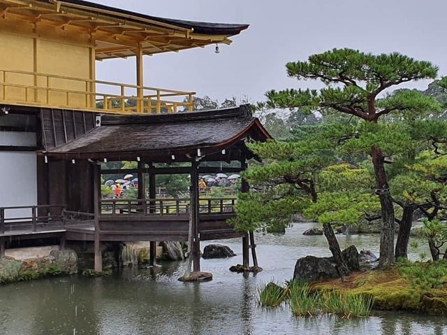 京都必去世界文化遺產｜金閣寺