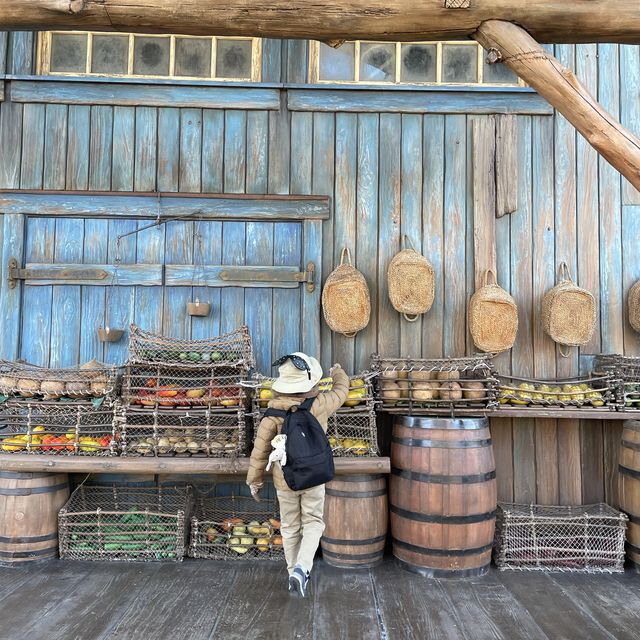 ラテンのリズムとリメンバーミーな東京ディズニーシー