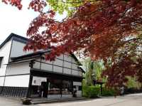 日本東北小京都古色古香《角館》