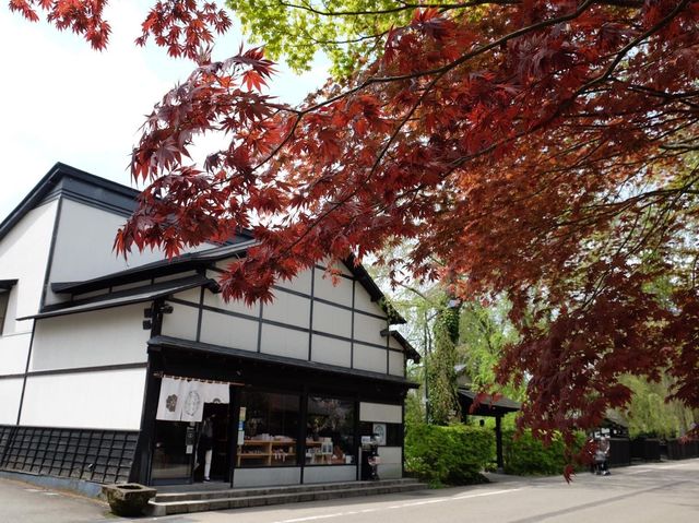 日本東北小京都古色古香《角館》