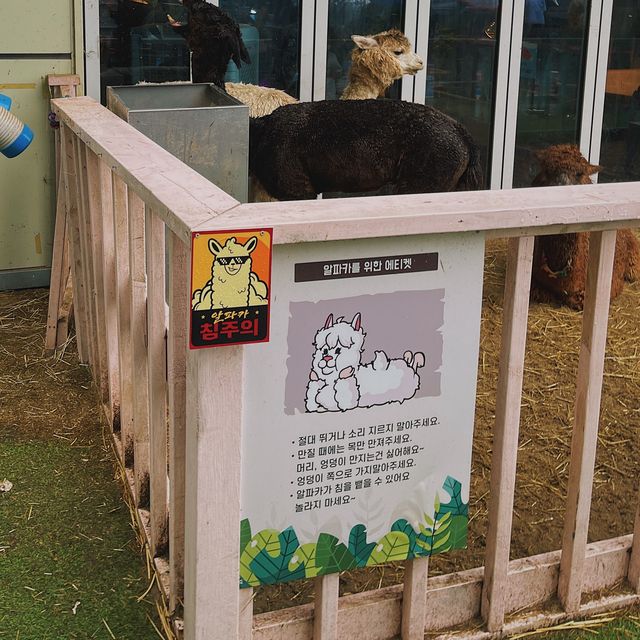 몬스터리움 🐋 실내동물원 !