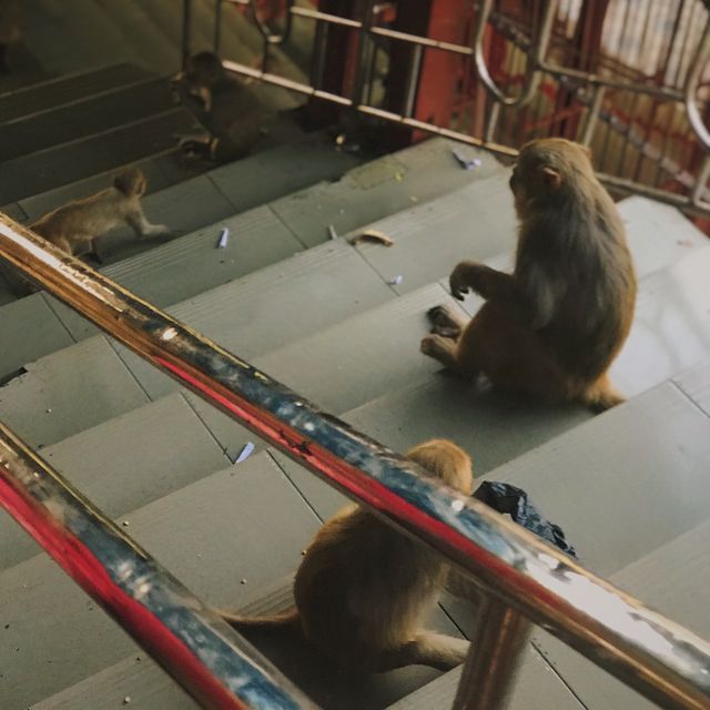 Popa Taungkalat Monastery 💡바간 관광지