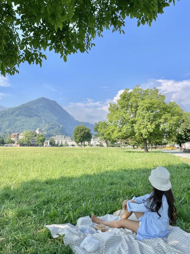스위스 융프라우 뷰 피크닉 어때요🏔