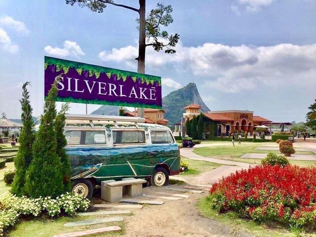 🌳 "ไร่องุ่นซิลเวอร์เลค" (Silverlake) 🌳