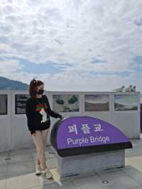보라보라해💜세계 최우수 관광마을 전남신안 퍼플섬! 퍼플교💜💜