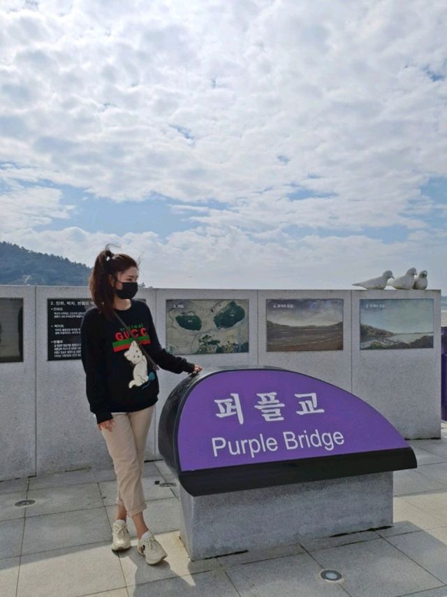 보라보라해💜세계 최우수 관광마을 전남신안 퍼플섬! 퍼플교💜💜