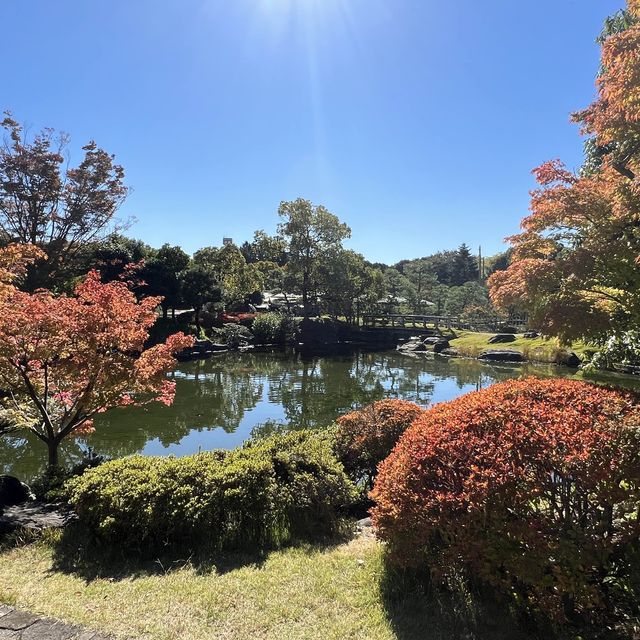 名古屋 楓葉下 的白鳥庭園🍁🍁
