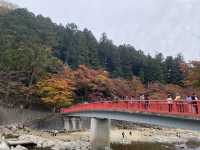 最美紅葉香嵐溪