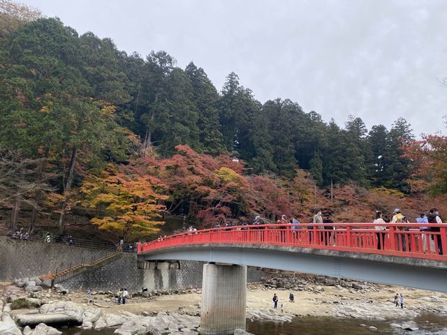 最美紅葉香嵐溪